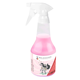 Kids Shine 350ml