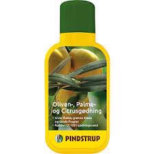 Pindstrup Oliven/Palme- & Citrusgødning 0,5L